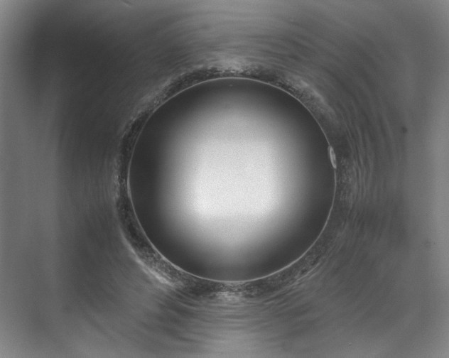 X0000071950496200607141502