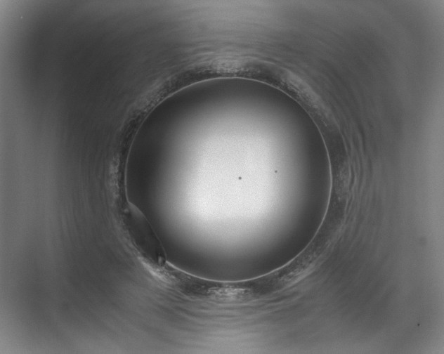 X0000071950497200607141502