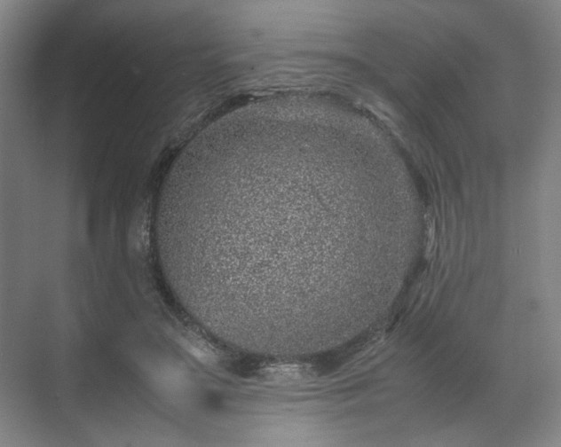 X0000071950499200607141502