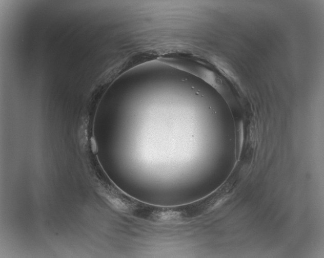 X0000071950501200607141502