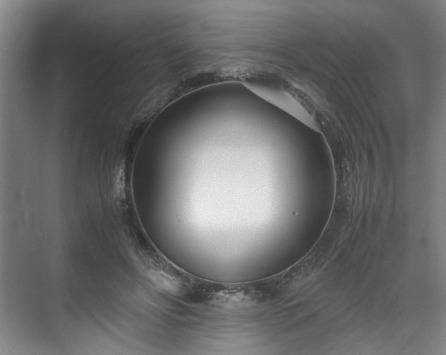 X0000071950502200607141502