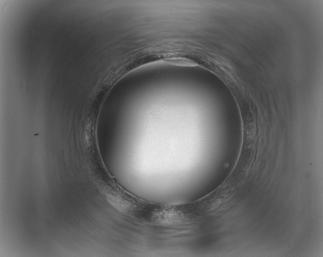 X0000071950503200607141502