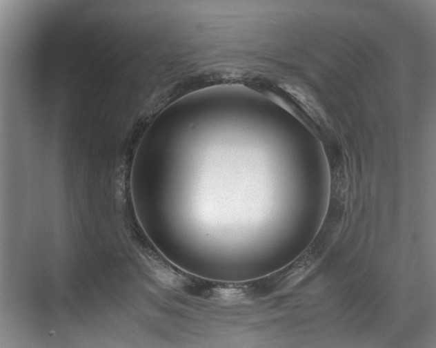 X0000071950509200607141502