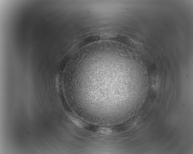 X0000071950519200607141502