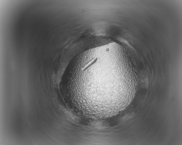 X0000071950523200607141502