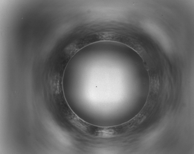 X0000071950525200607141502