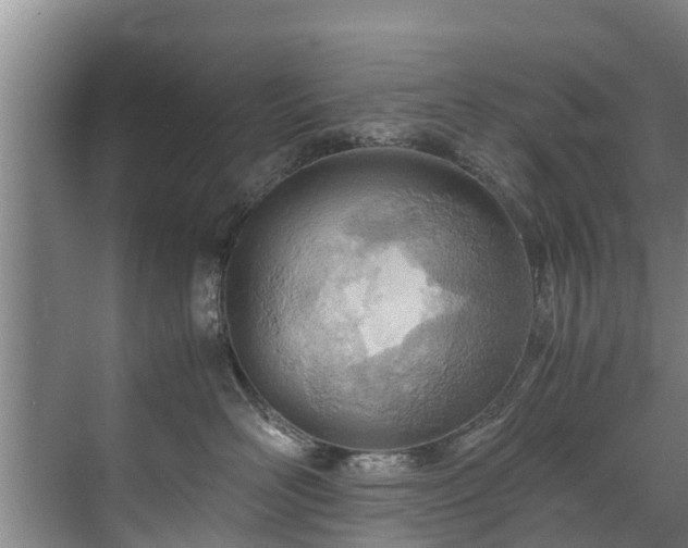 X0000071950526200607141502