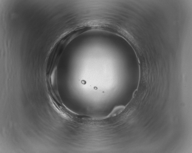 X0000071950530200607141501