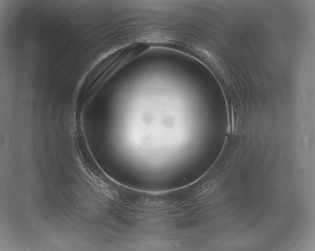 X0000071950531200607141501