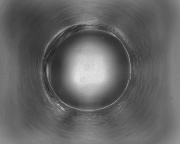 X0000071950532200607141501