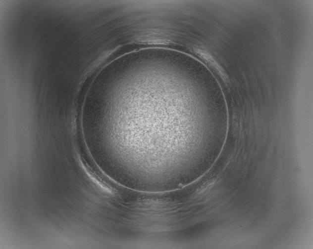 X0000071950533200607141501