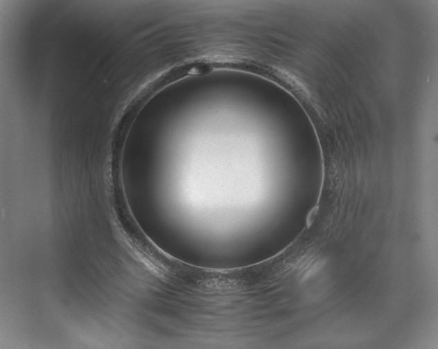 X0000071950535200607141501