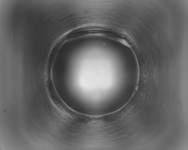 X0000071950536200607141501