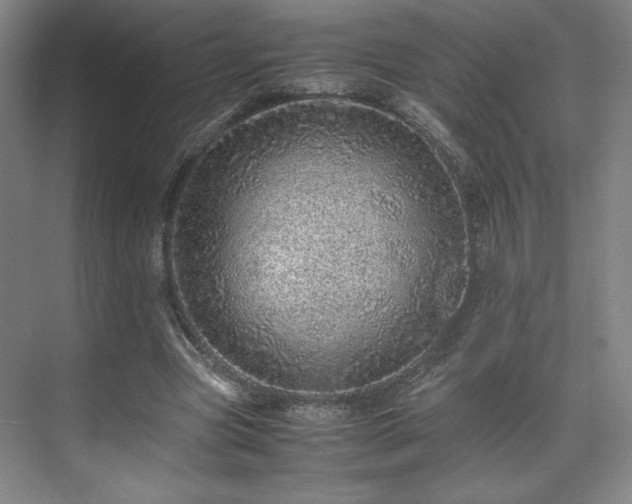 X0000071950537200607141501