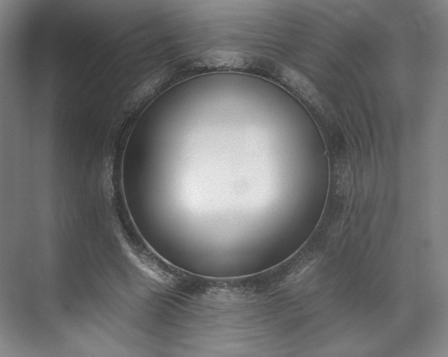 X0000071950538200607141501