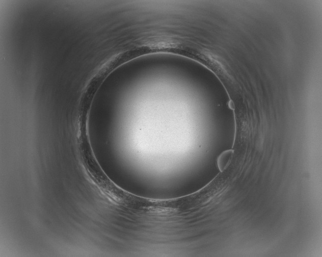 X0000071950539200607141501