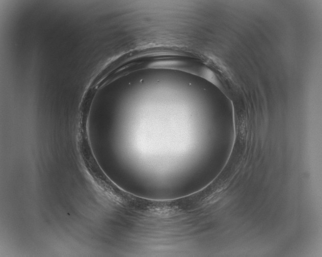 X0000071950540200607141501