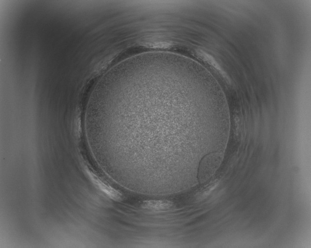 X0000071950541200607141501