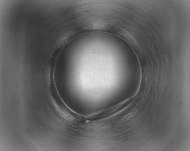 X0000071950542200607141501