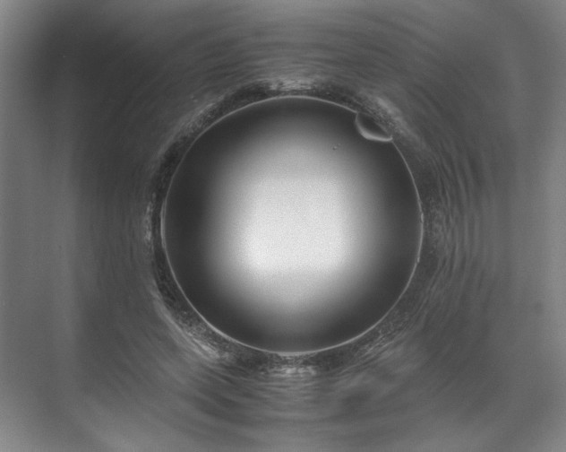 X0000071950543200607141501