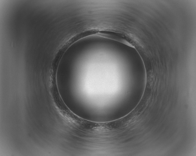 X0000071950544200607141501