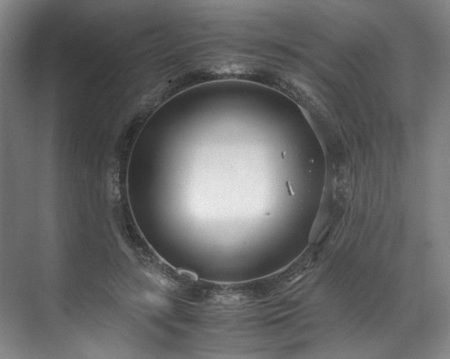 X0000071950547200607141501