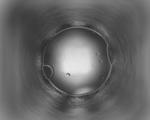 X0000071950549200607141501