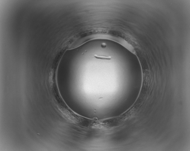 X0000071950550200607141501