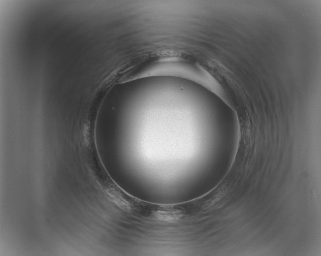 X0000071950556200607141502