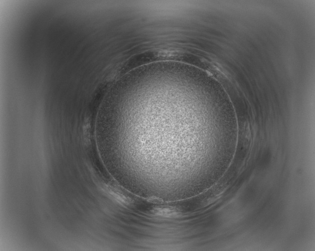 X0000071950557200607141502