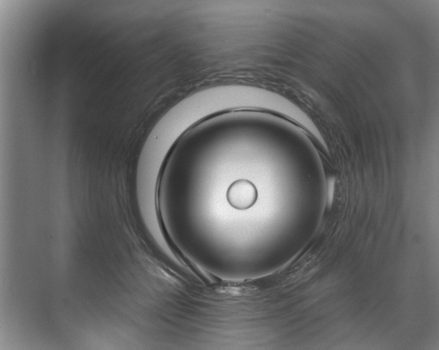 X0000071950558200607141502