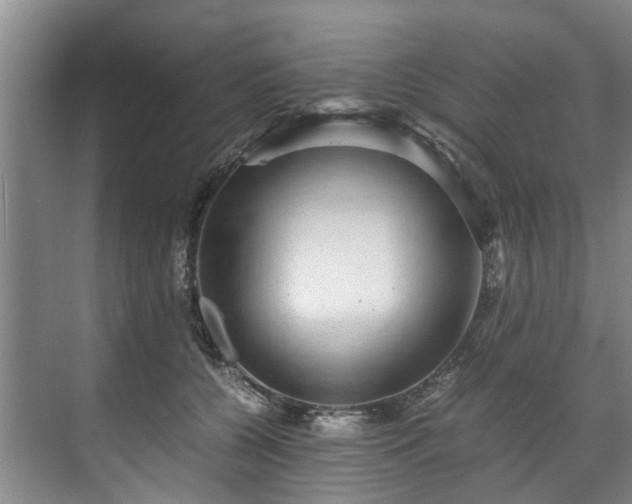 X0000071950560200607141502