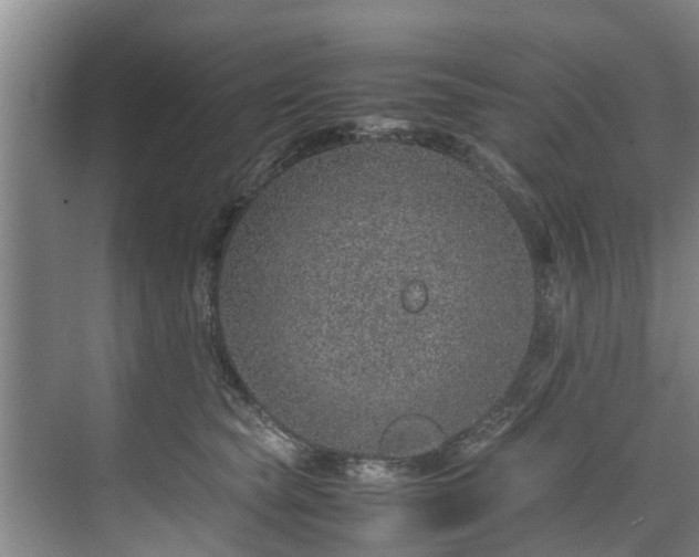 X0000071950565200607141502