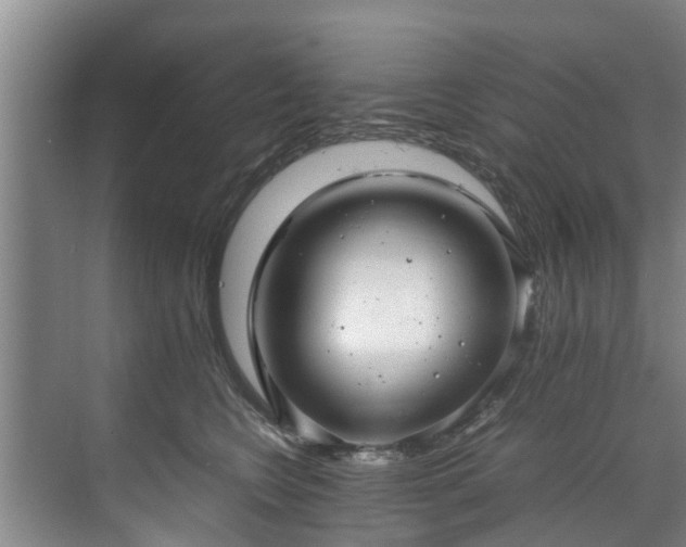 X0000071950566200607141502