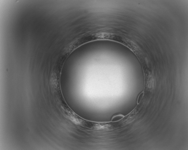 X0000071950569200607141502