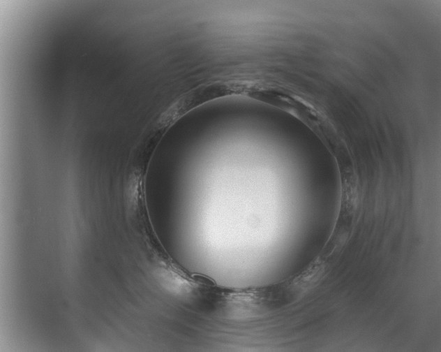 X0000071950574200607141502