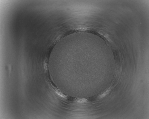 X0000071950576200607141502