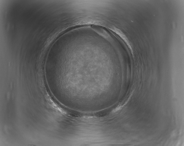 X0000071950577200607141501