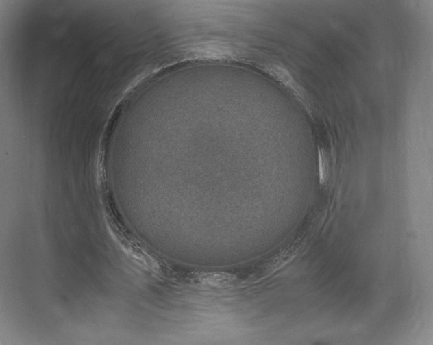 X0000071950579200607141501