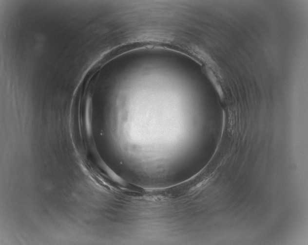 X0000071950580200607141501