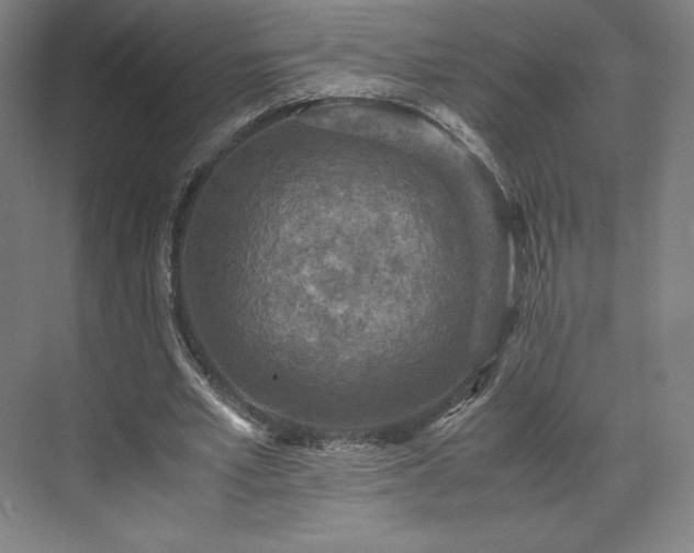 X0000071950581200607141501