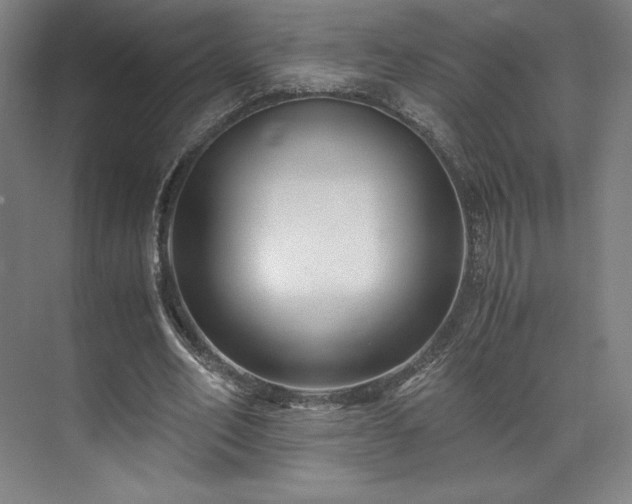 X0000071950582200607141501