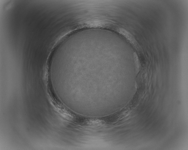 X0000071950583200607141501