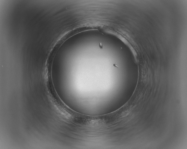 X0000071950584200607141501