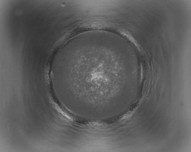 X0000071950585200607141501