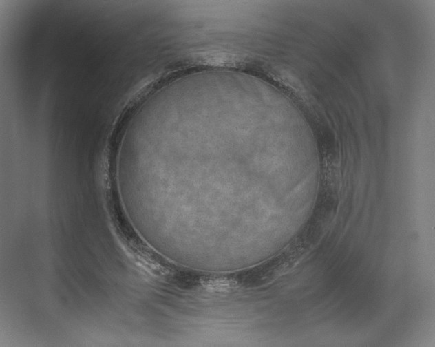 X0000071950587200607141501