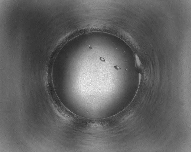 X0000071950588200607141501