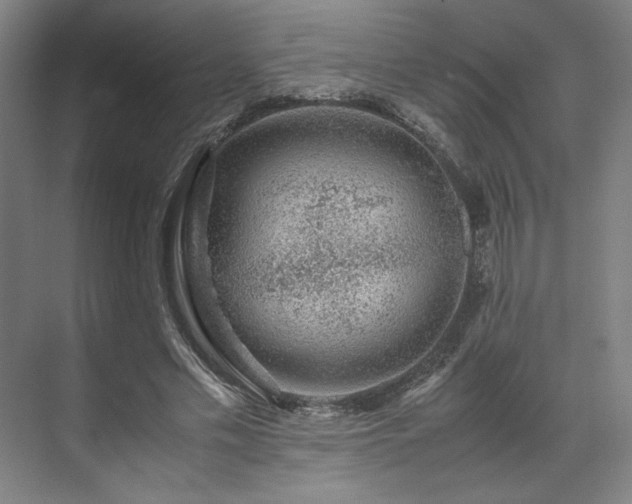 X0000071950589200607141501