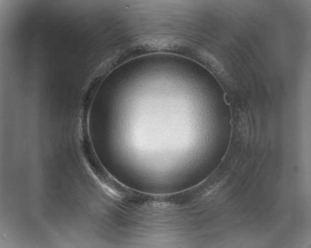 X0000071950590200607141501