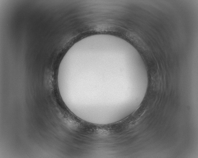 X0000071950592200607141501